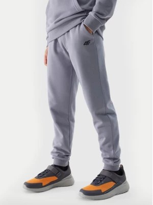 Zdjęcie produktu 4F Spodnie dresowe 4FJWSS24TTROM591 Niebieski Regular Fit