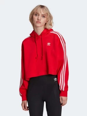Zdjęcie produktu adidas Bluza w kolorze czerwonym rozmiar: 42