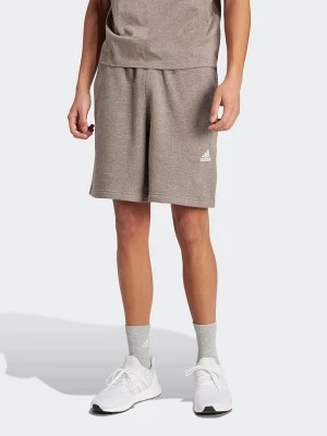 Zdjęcie produktu adidas Szorty dresowe w kolorze jasnobrązowym rozmiar: L