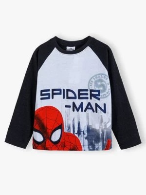 Zdjęcie produktu Bawełniana bluzka chłopięca z długim rękawem Spiderman