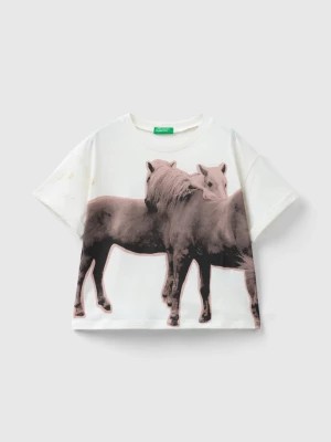 Zdjęcie produktu Benetton, T-shirt With Photographic Horse Print, size XL, Creamy White, Kids United Colors of Benetton