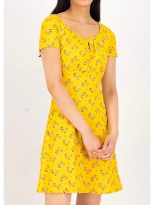 Zdjęcie produktu Blutsgeschwister Sukienka "Ducktales Romance" w kolorze żółto-białym rozmiar: S