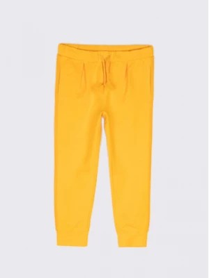 Zdjęcie produktu Coccodrillo Spodnie dresowe WC2120101WIL Żółty Regular Fit