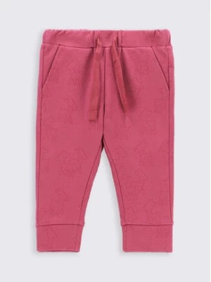 Zdjęcie produktu Coccodrillo Spodnie dresowe ZC2120102WON Różowy Regular Fit