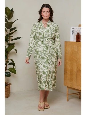 Zdjęcie produktu Curvy Lady Sukienka w kolorze zielonym rozmiar: 48/50