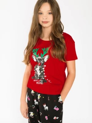 Zdjęcie produktu Czerwony t-shirt dla dziewczyny santa's helper Reporter Young