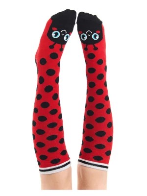 Zdjęcie produktu Denokids Podkolanówki "Ladybug" w kolorze czerwonym rozmiar: 92/98