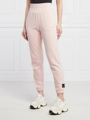 Zdjęcie produktu DKNY Sport Spodnie dresowe | Regular Fit