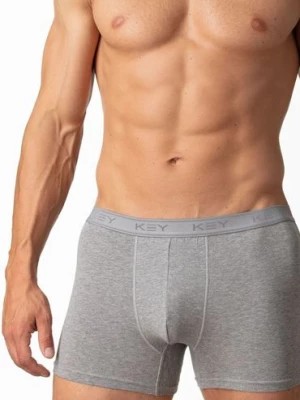 Zdjęcie produktu Dopasowane męskie szorty z dodatkową wstawką  w kroku - szary key