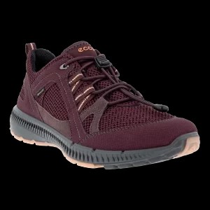 Zdjęcie produktu ECCO Terracruise II W - Damskie tekstylne buty Gore-Tex - Bordowy - Size: (UK 2.5-3)