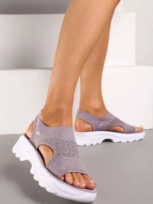 Zdjęcie produktu Fioletowe Sportowe Sandały z Elastyczną Cholewką z Cyrkoniami i Tłoczoną Podeszwą Dariena
