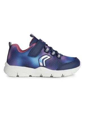 Zdjęcie produktu Geox Sneakersy "New Torque" w kolorze granatowo-fioletowym rozmiar: 28
