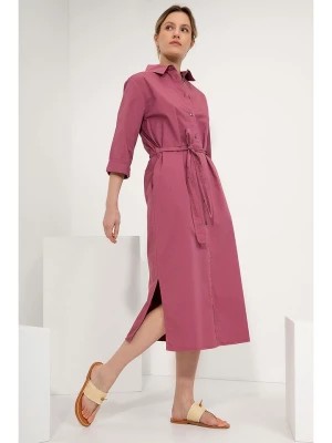 Zdjęcie produktu Josephine & Co Sukienka w kolorze szaroróżowym rozmiar: 36