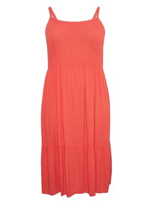 Zdjęcie produktu KAFFE curve Sukienka "Tadina" w kolorze koralowym rozmiar: 46