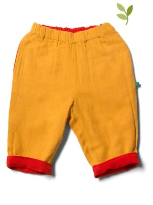 Zdjęcie produktu Little Green Radicals Spodnie dwustronne w kolorze musztardowo-czerwonym rozmiar: 62