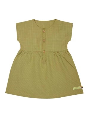 Zdjęcie produktu loud + proud Sukienka w kolorze oliwkowym rozmiar: 98/104