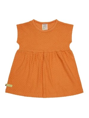Zdjęcie produktu loud + proud Sukienka w kolorze pomarańczowym rozmiar: 122/128