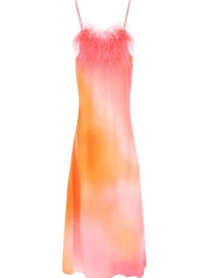 Zdjęcie produktu Maxi Sukienka z Jedwabiu z Piórami Art Dealer