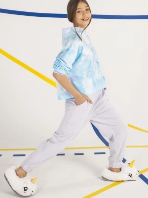 Zdjęcie produktu Niebieska bluza z kapturem dla dziewczyny clouds Reporter Young