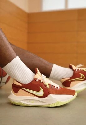 Zdjęcie produktu Obuwie do koszykówki Nike Performance