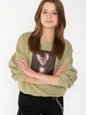 Zdjęcie produktu Oliwkowa bluza dresowa z nadrukiem z motywem kota