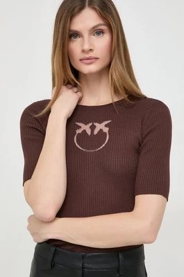Zdjęcie produktu Pinko sweter jedwabny kolor brązowy lekki 102017.A1KW