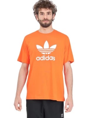 Zdjęcie produktu Pomarańczowy i biały T-shirt Adicolor Trefoil Adidas Originals