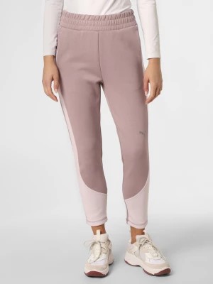 Zdjęcie produktu Puma Damskie spodnie dresowe Kobiety Bawełna różowy jednolity,