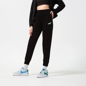 Zdjęcie produktu Puma Spodnie Ess Sweatpants Tr Cl