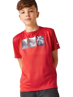 Zdjęcie produktu Regatta Koszulka "Alvarado VIII" w kolorze czerwonym rozmiar: 176