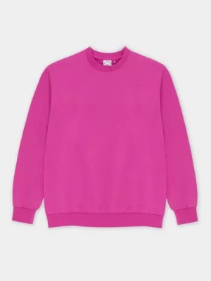 Zdjęcie produktu Różowa bluza oversize z okrągłym dekoltem C22SF-2B-004-R-0 Pako Lorente