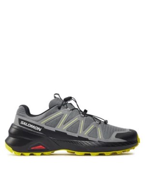 Zdjęcie produktu Salomon Buty do biegania Speedcross Peak L47602600 Szary