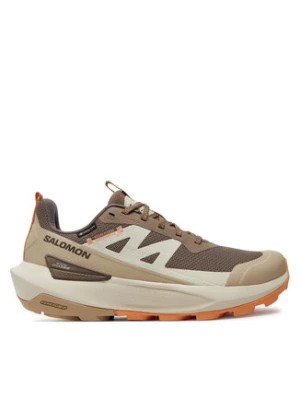 Zdjęcie produktu Salomon Sneakersy Elixir Activ Gore-Tex L47456400 Brązowy