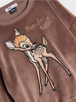 Zdjęcie produktu Sinsay - Bluza Disney - brązowy