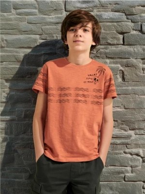 Zdjęcie produktu Sinsay - Koszulka z nadrukiem - brązowy