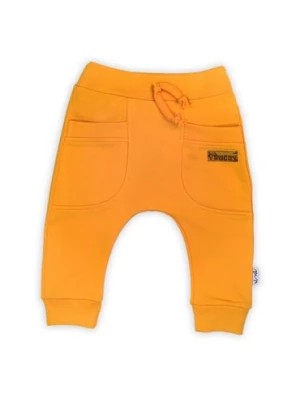 Zdjęcie produktu Spodnie dresowe chłopięce - żółte Nicol