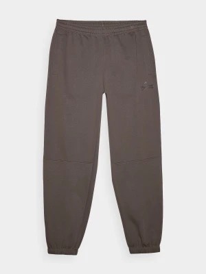 Zdjęcie produktu Spodnie dresowe joggery męskie - brązowe 4F