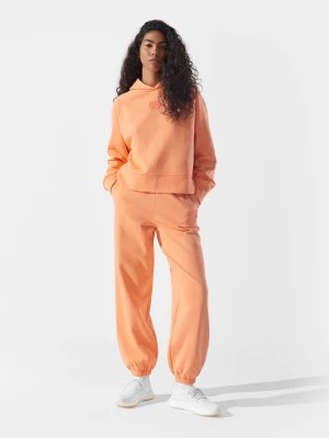 Zdjęcie produktu Spodnie dresowe joggery z bawełną organiczną damskie 4F x Anna Lewandowska