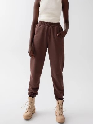 Zdjęcie produktu Spodnie dresowe typu jogger w kolorze CACAO BROWN - DISPLAY-XS Marsala