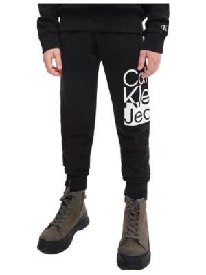 Zdjęcie produktu Spodnie Jogger z Logo Box Calvin Klein
