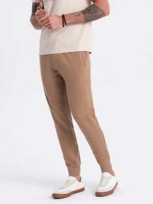 Zdjęcie produktu Spodnie męskie dresowe typu jogger - brązowe V2 OM-PABS-0173
 -                                    L