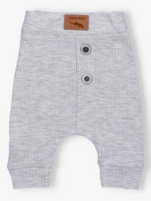 Zdjęcie produktu Spodnie niemowlęce z dzianiny prążkowej -  szare - Lagarto Verde