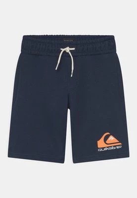 Zdjęcie produktu Spodnie treningowe Quiksilver