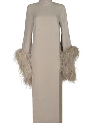 Zdjęcie produktu Srebrne Sukienki Kolekcja Taller Marmo
