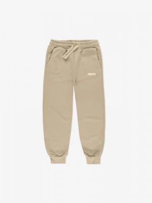 Zdjęcie produktu Sweatpants Baza Beige Kids