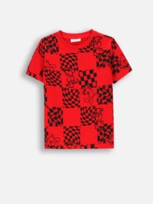 Zdjęcie produktu T-shirt z krótkim rękawem COCCODRILLO